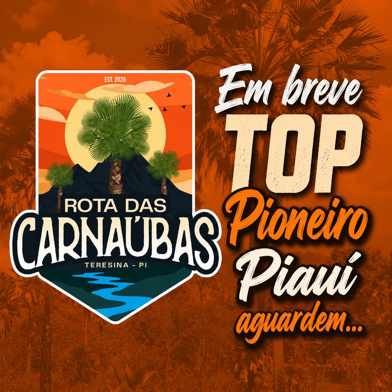 Próximo TOP — Rota das Carnaúbas